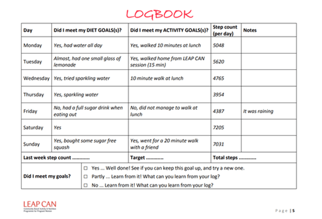 The Community, Activity and Nutritional logbook, page 2