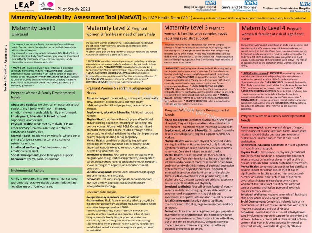 MatVat tool Maternity Levels explainer