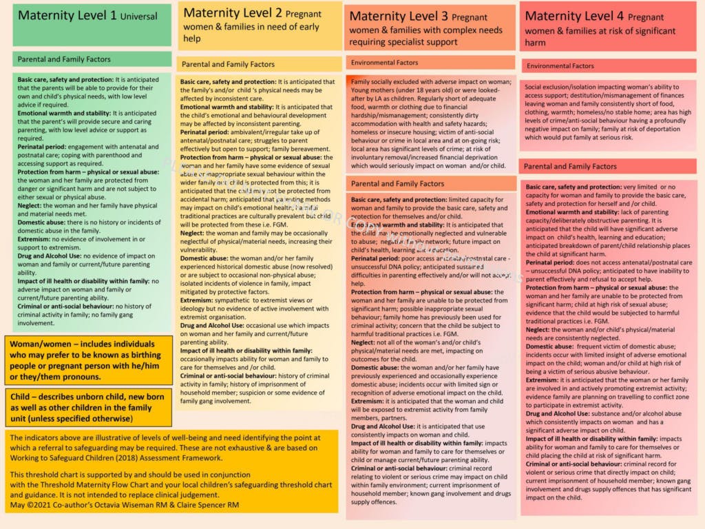 Maternity Vulnerability Assessment Tool - page 2