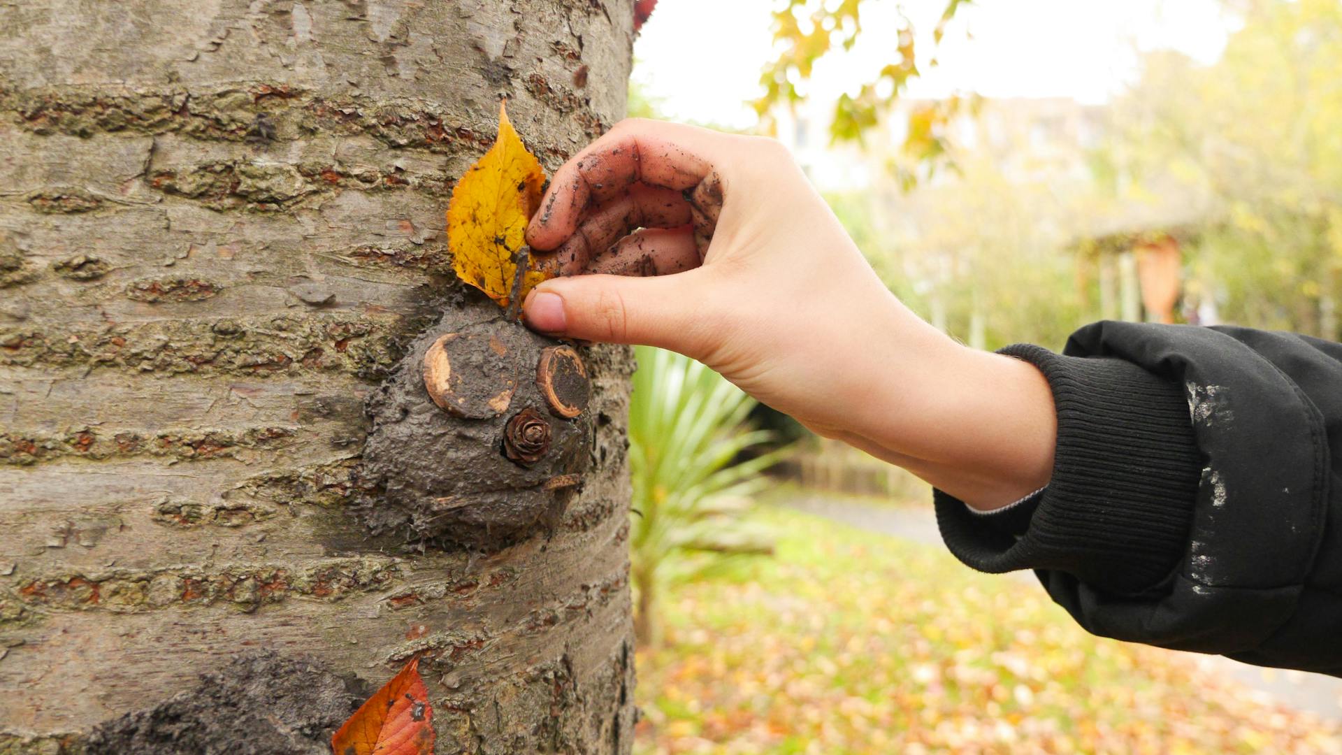 A child placing a leaf as hair on a figure made from mud and other natural sources. He has crafted it on the side of a tree trunk.